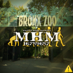 Master Hood Monkeys ; R