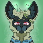 Dreams film crew <3