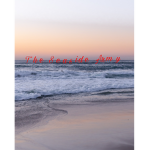 THE SEASIDE ARMY