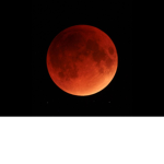 Blood_Moon Army