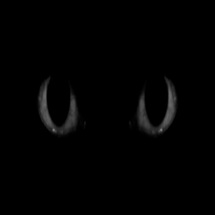 Horror eye Roblox decal