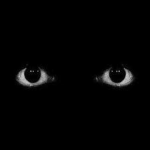 The FOF - Multiversal order