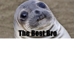 The Best Bro( twich group)