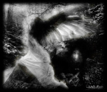 angelxxqw
