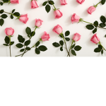 "Pinky Flowers"