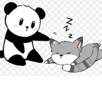 Pandas And Cats Unite