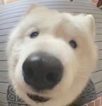 Its regi!!