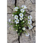 Kimberely12
