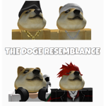 The Doge Resemblance