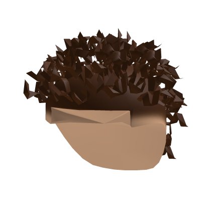 Brown Curly Hair W Burst Fade Roblox item
