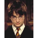 Harry Potter Pro fan club