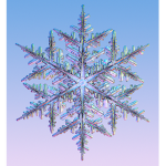 snowdrop studios
