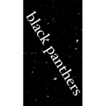 Black Panthers yo!