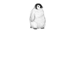 Penguins United -nice-