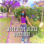 Aesthetic Blush Boutique