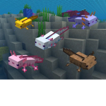 Axolotl class