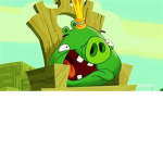 BAD PIGGIES CLOTHING