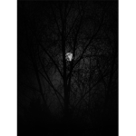 The Mysterious Encounter