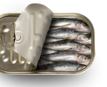 SARDINE ARCHIVES