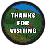 Visitor