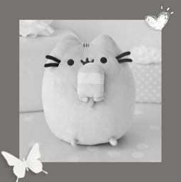 ✦
