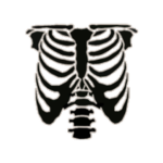 Clowns of robloxian