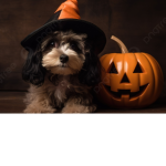 love dogs with you