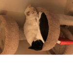Sean and maya