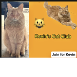 Kevin’s Cat Club