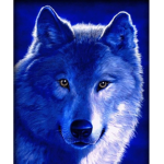 MCCS Wolf pack