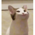 hi how are yo utoday
