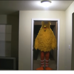 The biggest bird group!