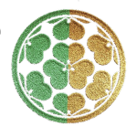 Chōsōkabe Clan