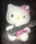 Hello kitty <3 is my bestie