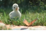 #CutieSquad