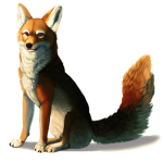 teamfox