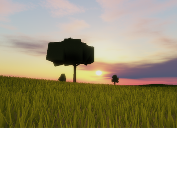 Open Field