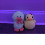 Ducky leader of ducks