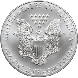 the coin