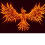Phoenixes Rising From The Ashes