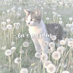 - liv’s garden -