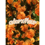 adorxfleur fan club