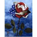 Red White and COOL