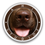 Ahi Studios