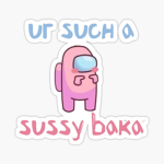 THE SUSY BAKAS