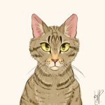 Olive's Fan Group!