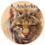 Anderker