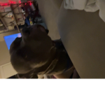 $aniyah <3