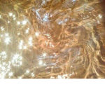 Gold Fame