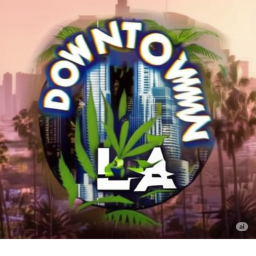 Downtown LA GunTest